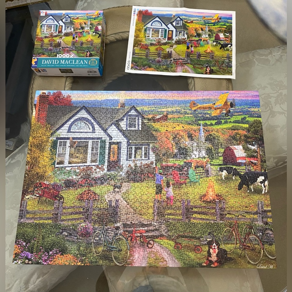 Ceaco Puzzle; The Fly By; art by David Maclean; 1000 pcs, Fall